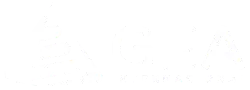 GEA Internacional